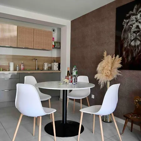 Apartment Cosy Near Strasbourg *