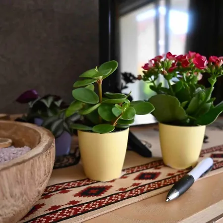 Apartment Cosy Near Strasbourg